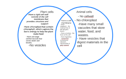 Plant cells and Animal cells Venn Diagram by emon brawner