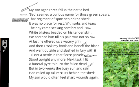 'Nettles' by Vernon Scannell by Mrs Butler's English resources on Prezi