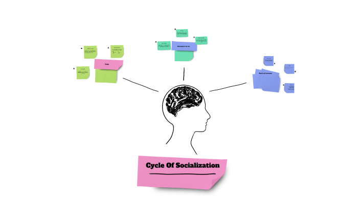 Cycle Of Socialization by Elizabeth Ortiz on Prezi
