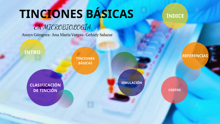 TINCIONES EN MICROBIOLOGÍA By AnaCari Gray On Prezi