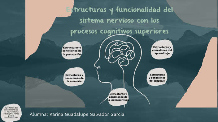 Estructuras Y Funcionalidad Del Sistema Nervioso Con Los Procesos Cognitivos Superiores By 1412