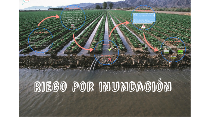 Riego Por Inundacion by José