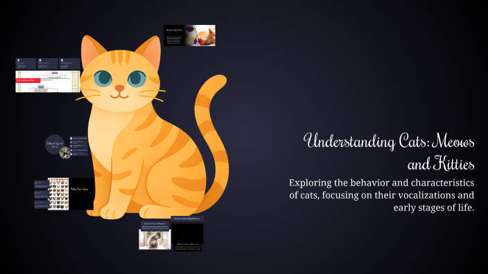 Understanding Cats: Meows and Kitties by Marie on Prezi