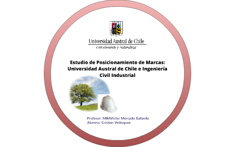 Estudio de Posicionamiento de las Marcas: Universidad Austral de Chile ...