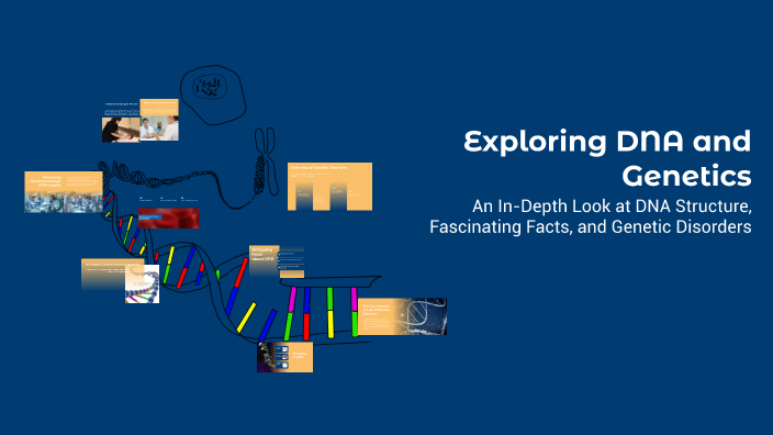 Exploring DNA and Genetics by Goldhusk on Prezi