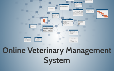 veterinary clinic management system thesis