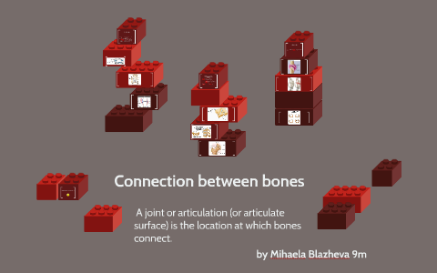 Connection between bones by Mihaela Blazheva on Prezi