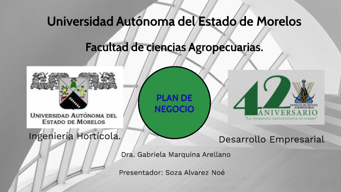 Elaboración de un Plan de negocios by Erick Soza Alvarez on Prezi
