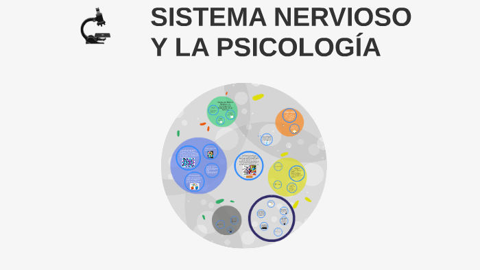 Aportes del Sistema Nervioso para Comprender el ser humano by Mapa ...