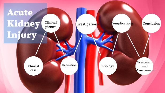 clinical approach to a patient with renal injury by Rana Hazem on Prezi