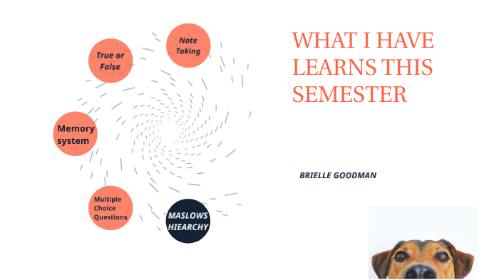 What I Have Learned by brielle goodman on Prezi