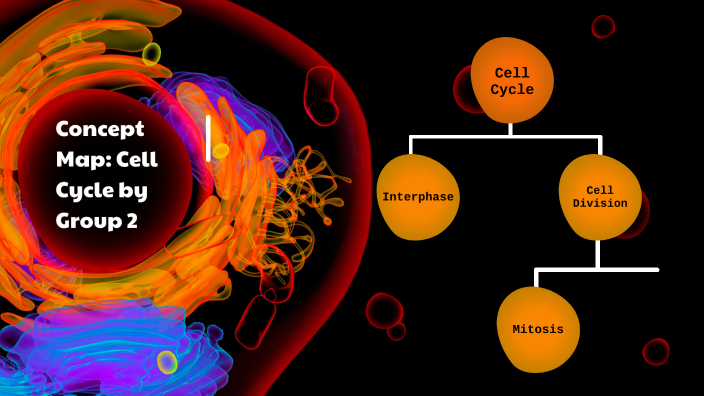 Cell Cycle Concept Map by Group 2 by Giana Lacambra on Prezi