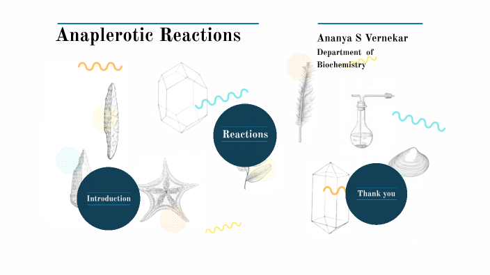 anaplerotic reaction by Soujanya Vernekar