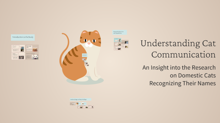 Understanding Cat Communication by Monica Marie Jones on Prezi