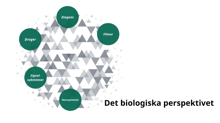 Det Biologiska Perspektivet By Andreas Malmqvist On Prezi