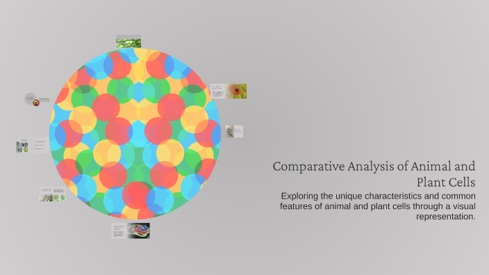 Comparative Analysis of Animal and Plant Cells by garrick malone on Prezi