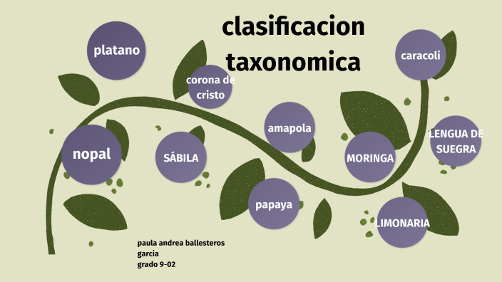 Clasificacion Taxonomica De Las Plantas By Gustavo Gonzalez Jurado On Prezi 5162