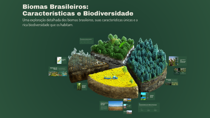 Biomas Brasileiros: Características e Biodiversidade by ELIANA DAMACENA ...
