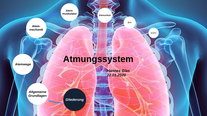 Atmungssystem by Hannes Glas on Prezi