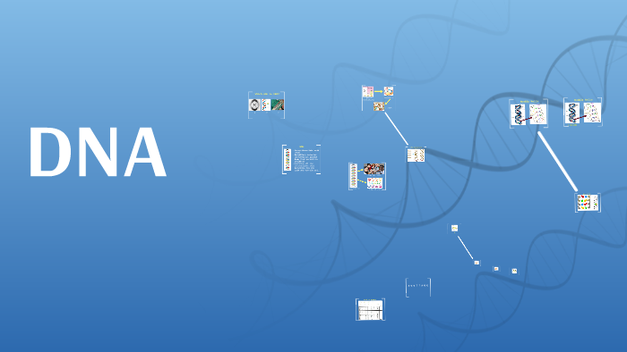 DNA by Ana Cadena on Prezi