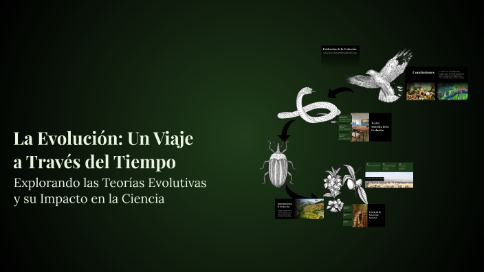 La Evolución: Un Viaje a Través del Tiempo by Mateo Ramírez Suaza on Prezi