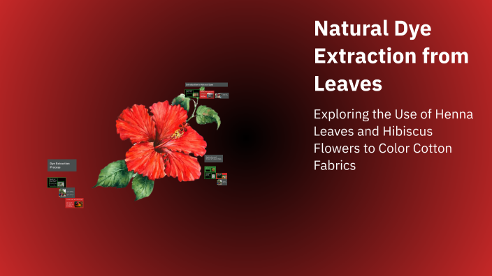 Natural Dye Extraction from Leaves by Shanura Farhath on Prezi