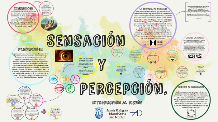 Sensacion Y Percepcion By Edward Colina On Prezi