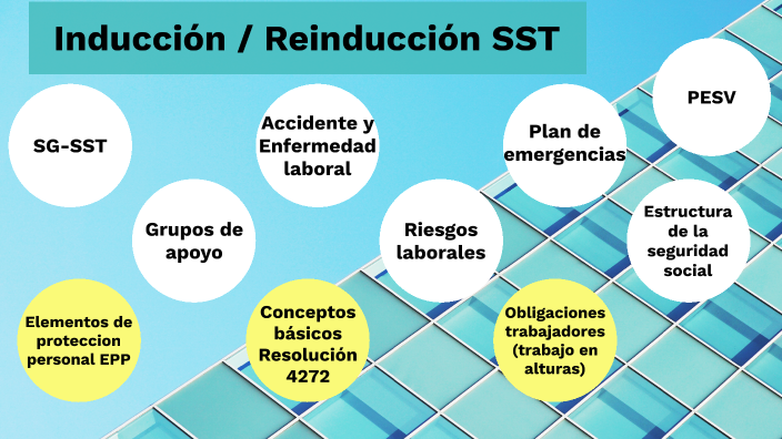 Procedimiento Induccion Y Reinduccion Sst - Image To U