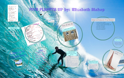 Five Flights Up By Diana Pikul