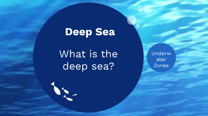 Deep Sea by Emily Nguyen on Prezi