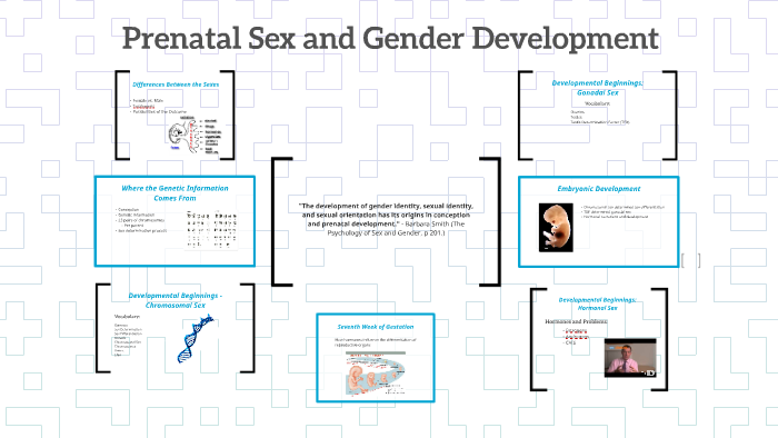 Prenatal Sex And Gender Development By Danielle Dufon 