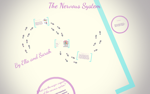 the nervous system by on Prezi