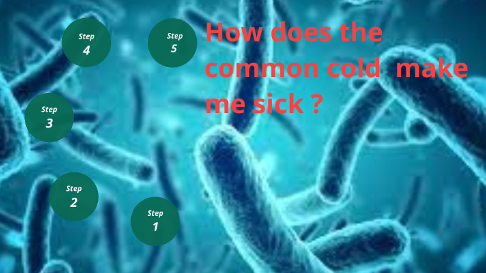 how-does-the-common-cold-make-me-sick-by-manon-champalimaud-on-prezi