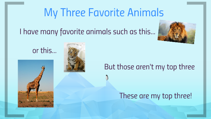 My Three favorite animals by Panda 1