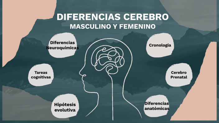 Diferencias Entre El Cerebro Masculino Y Femenino By Laura Costa Muñoz ...