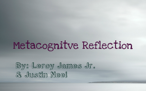 metacognitive reflection example essay