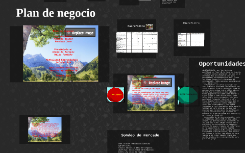 Plan de negocio by naider castro on Prezi