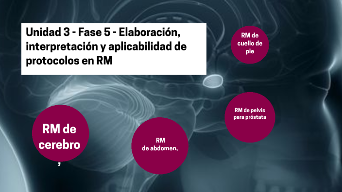 Unidad 3 Fase 5 Elaboración Interpretación Y Aplicabilidad De Protocolos En Rm By Milton 2439