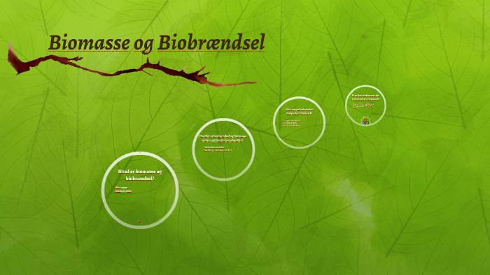 Hvad Er Biomasse Og Biobrændsel? By Malene L. Madsen On Prezi