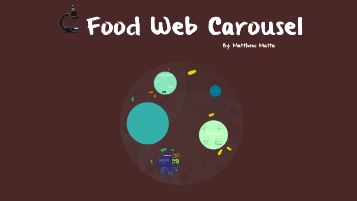 Food Web Carousel By Matthew Matta On Prezi Next