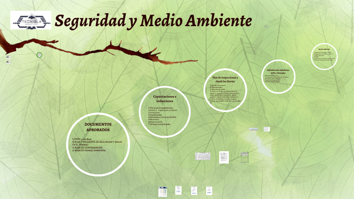 SEGURIDAD y MEDIO AMBIENTE by VICTOR PORRAS on Prezi