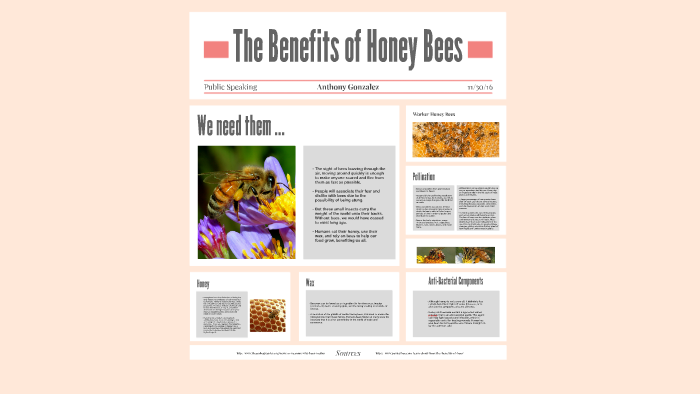 The Benefits of Bees by Anthony Gonzalez on Prezi