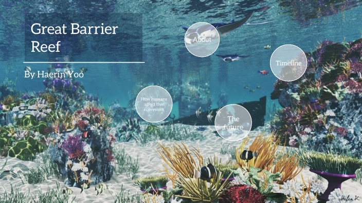 Great Barrier Reef by Haerin Yoo on Prezi