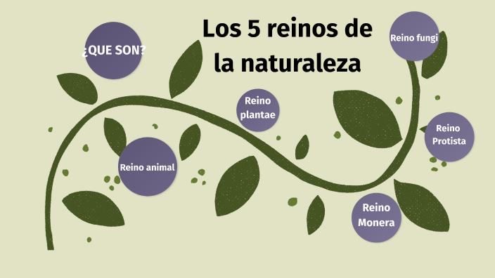 Los 5 reinos de la naturaleza by Santiago Noyola Velázquez on Prezi