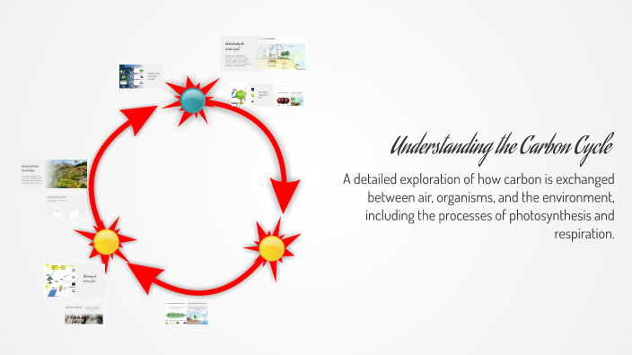Understanding the Carbon Cycle by doaa ehab on Prezi