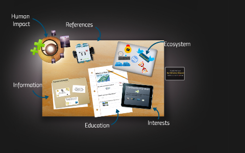 Roanoke River Basin by Brianna Weaver on Prezi