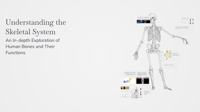 Understanding the Skeletal System by Lillian Mohr on Prezi