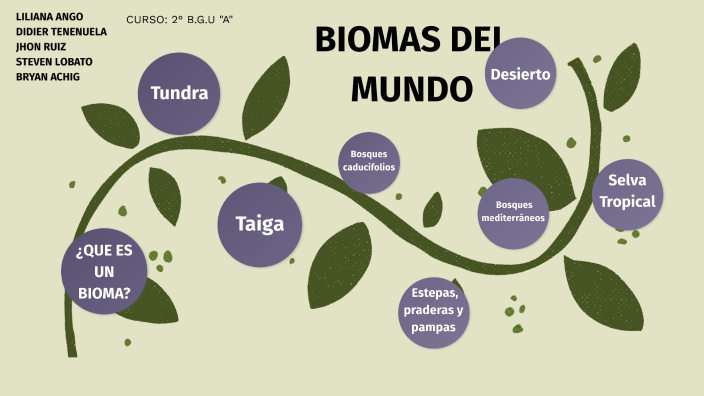 Biomas del mundo by LILIANA ANGO on Prezi