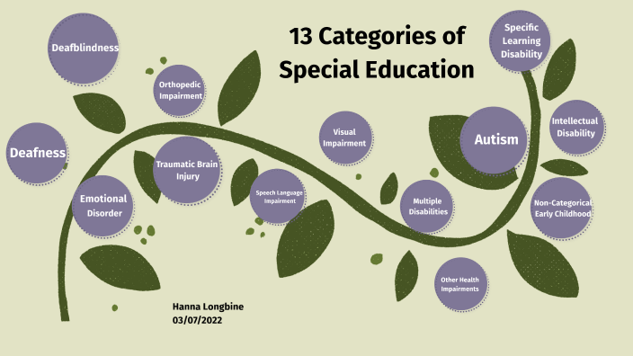 13-categories-of-special-education-by-hanna-longbine-on-prezi