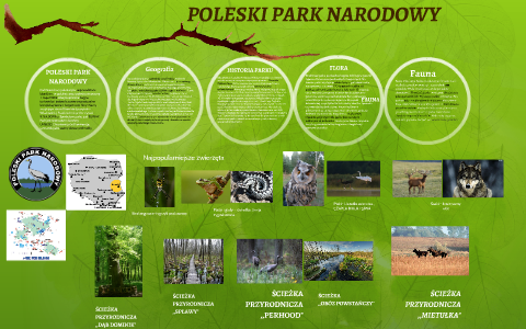 POLESKI PARK NARODOWY by Kinga Sikorska